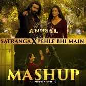 Satranga X Pehle Bhi Main Mashup(Remix By Dj Sunny Singh Uk)