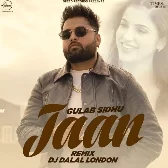 Jaan (Remix)